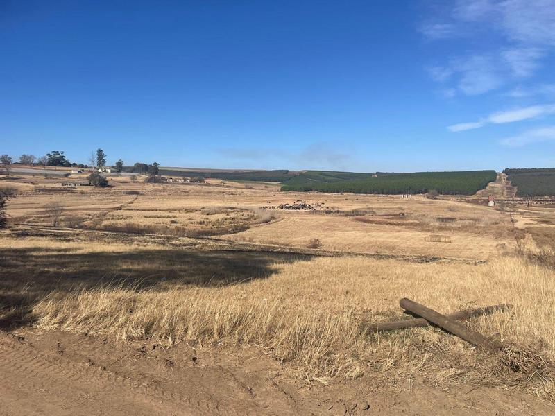 4 Bedroom Property for Sale in Greytown KwaZulu-Natal