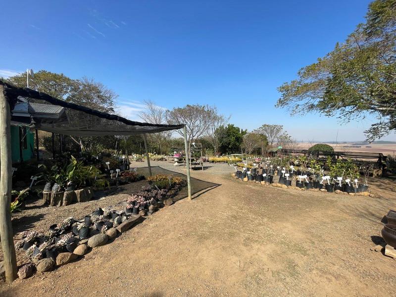 5 Bedroom Property for Sale in Greytown KwaZulu-Natal