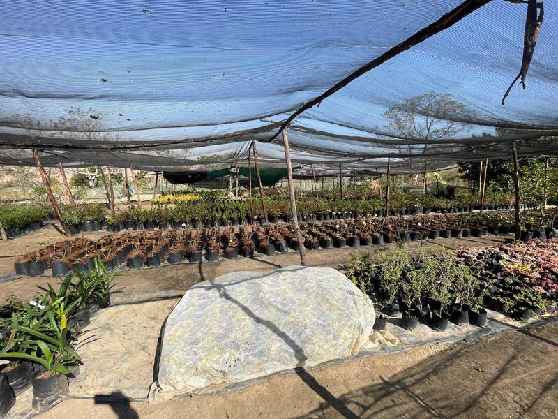 5 Bedroom Property for Sale in Greytown KwaZulu-Natal