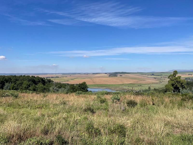 5 Bedroom Property for Sale in Greytown KwaZulu-Natal