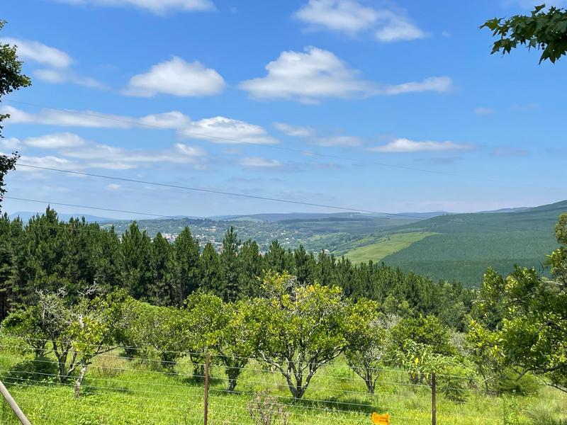 8 Bedroom Property for Sale in Greytown KwaZulu-Natal