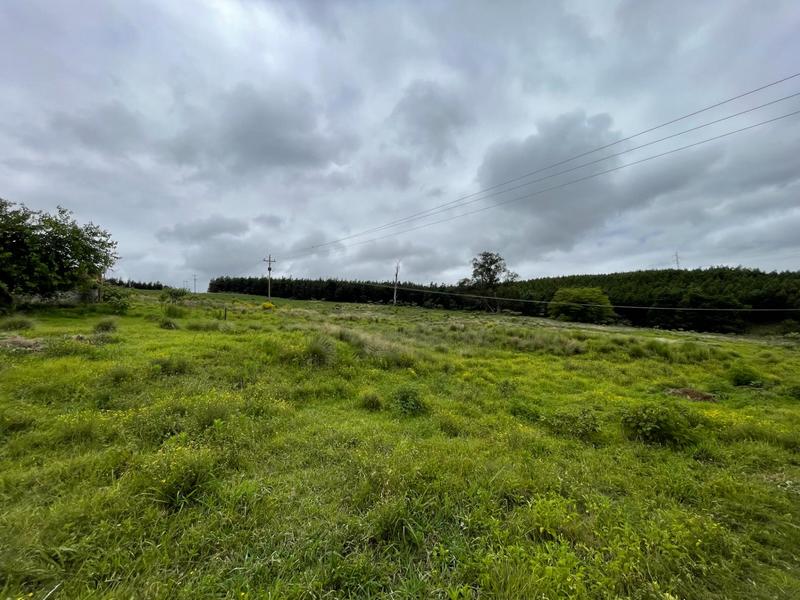 8 Bedroom Property for Sale in Greytown KwaZulu-Natal