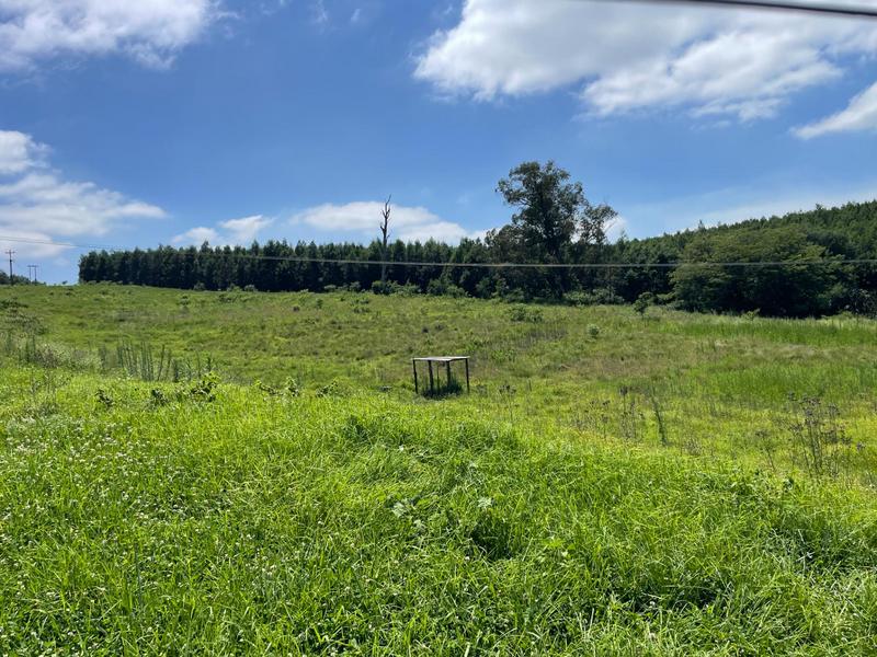 8 Bedroom Property for Sale in Greytown KwaZulu-Natal