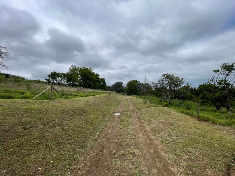 8 Bedroom Property for Sale in Greytown KwaZulu-Natal