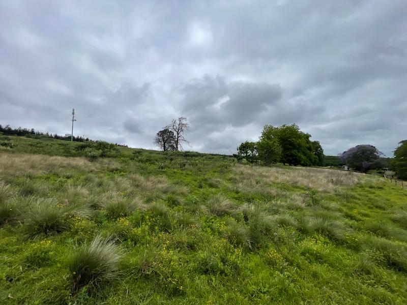 8 Bedroom Property for Sale in Greytown KwaZulu-Natal