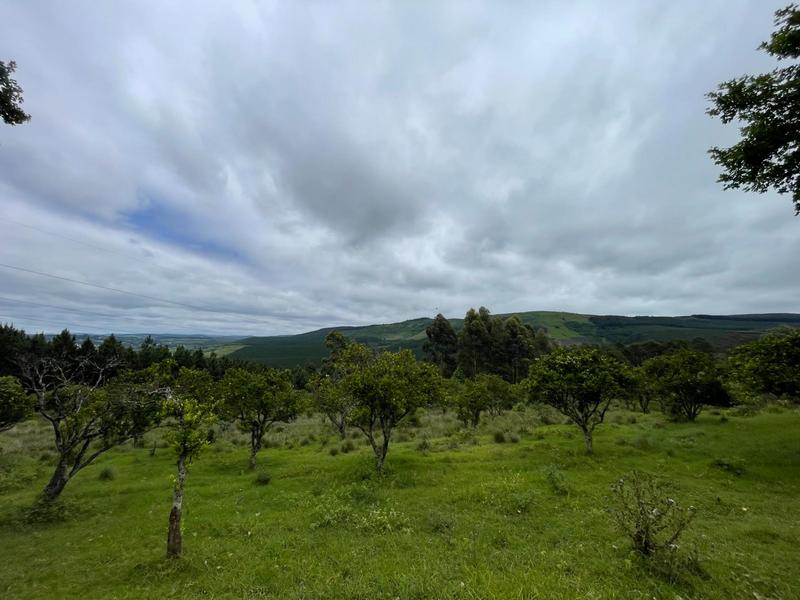 8 Bedroom Property for Sale in Greytown KwaZulu-Natal