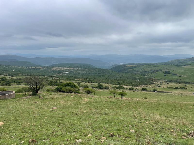 Commercial Property for Sale in Greytown KwaZulu-Natal