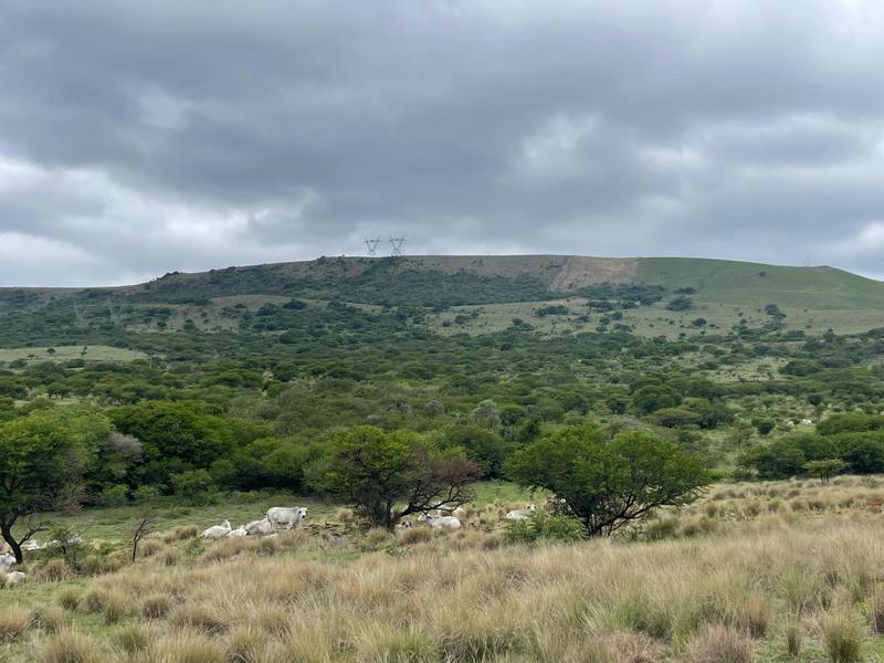 Commercial Property for Sale in Greytown KwaZulu-Natal