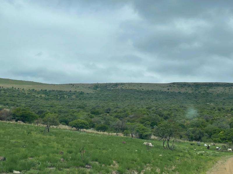 Commercial Property for Sale in Greytown KwaZulu-Natal