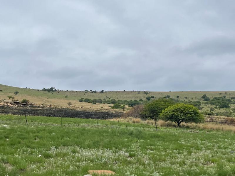 Commercial Property for Sale in Greytown KwaZulu-Natal