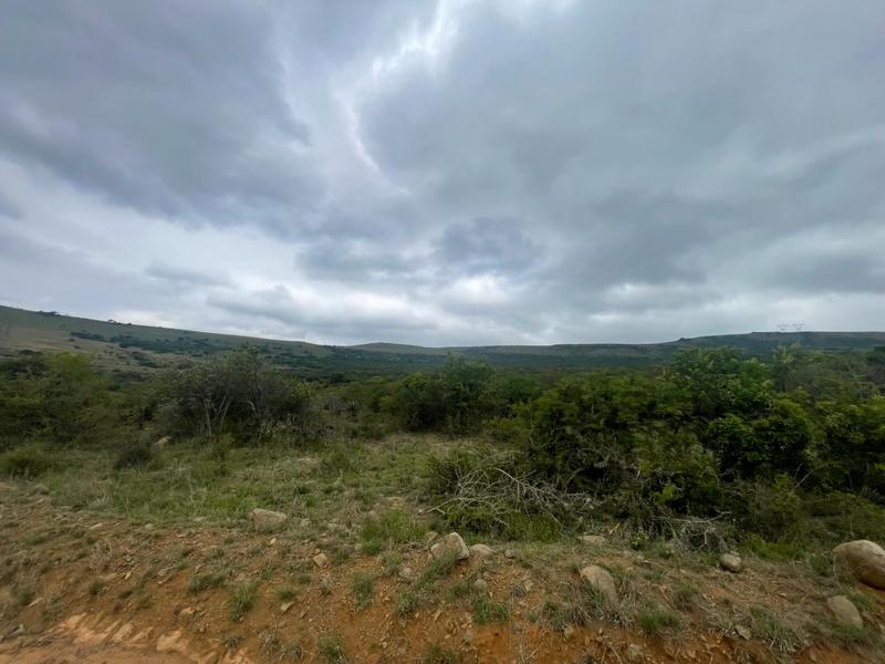 Commercial Property for Sale in Greytown KwaZulu-Natal