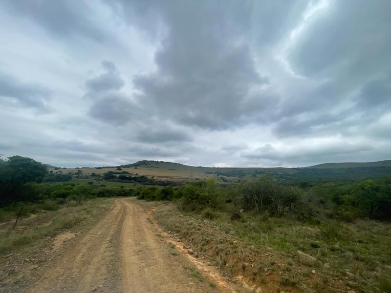 Commercial Property for Sale in Greytown KwaZulu-Natal