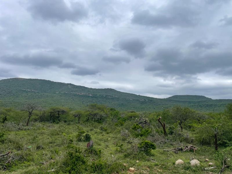 Commercial Property for Sale in Greytown KwaZulu-Natal