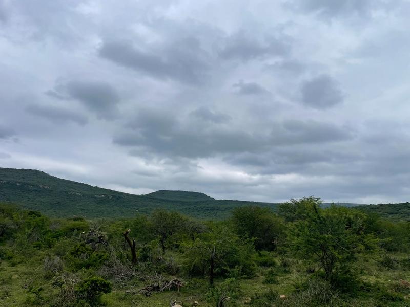 Commercial Property for Sale in Greytown KwaZulu-Natal