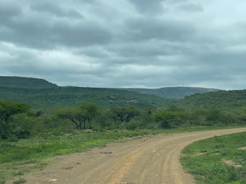 Commercial Property for Sale in Greytown KwaZulu-Natal