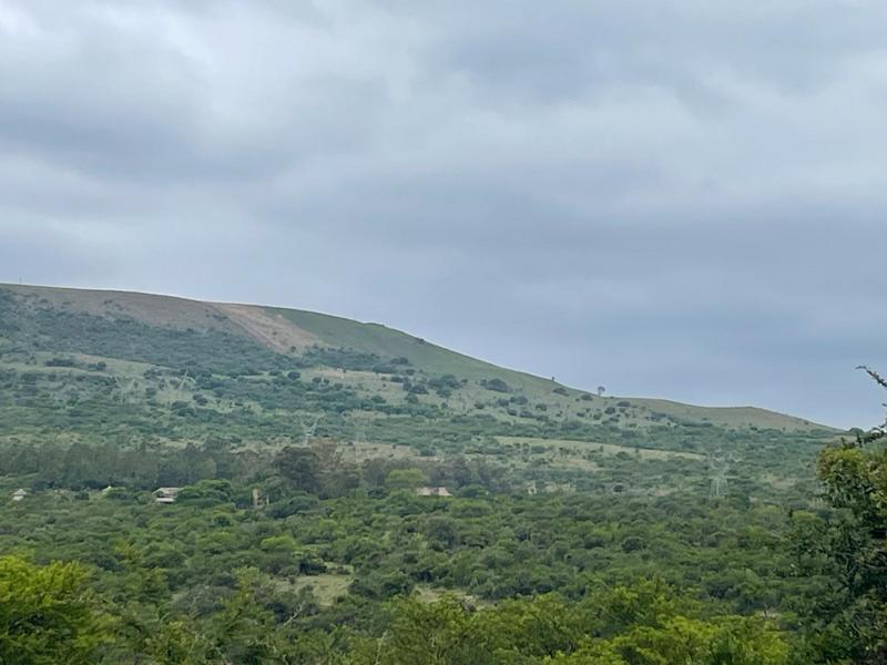 Commercial Property for Sale in Greytown KwaZulu-Natal