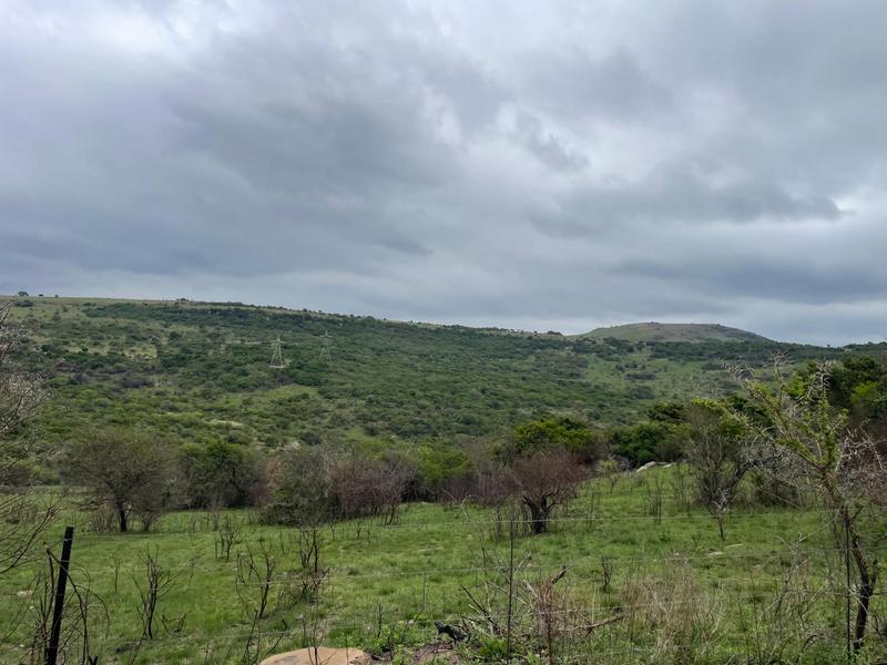 Commercial Property for Sale in Greytown KwaZulu-Natal