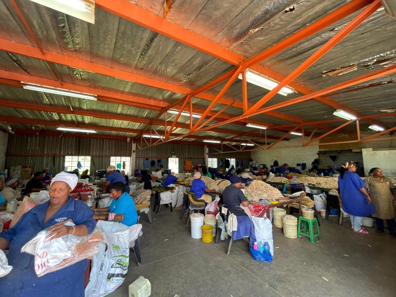 Commercial Property for Sale in Greytown KwaZulu-Natal