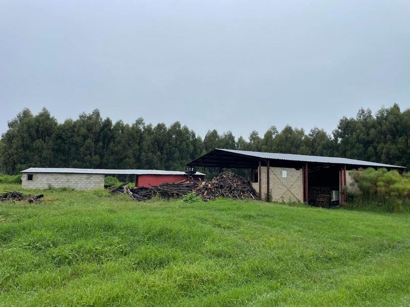 5 Bedroom Property for Sale in Kranskop KwaZulu-Natal