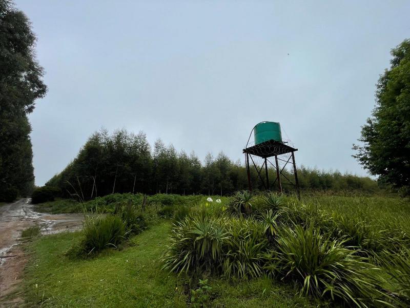 5 Bedroom Property for Sale in Kranskop KwaZulu-Natal