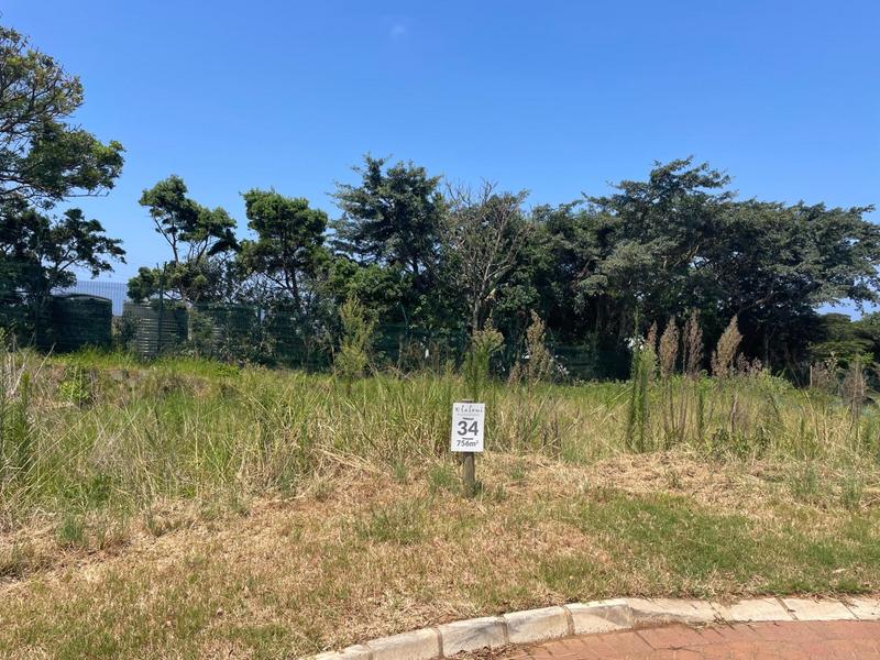 0 Bedroom Property for Sale in Elaleni Coastal Forest Estate KwaZulu-Natal