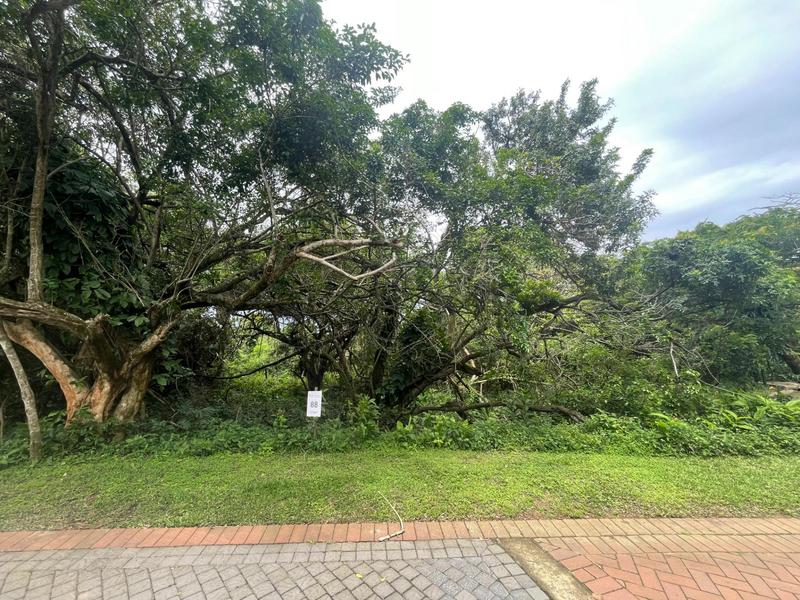 0 Bedroom Property for Sale in Elaleni Coastal Forest Estate KwaZulu-Natal