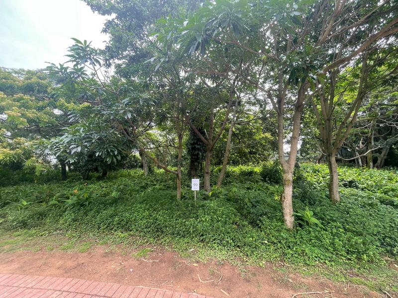 0 Bedroom Property for Sale in Elaleni Coastal Forest Estate KwaZulu-Natal