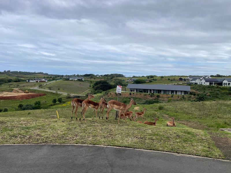 0 Bedroom Property for Sale in Springvale Country Estate KwaZulu-Natal