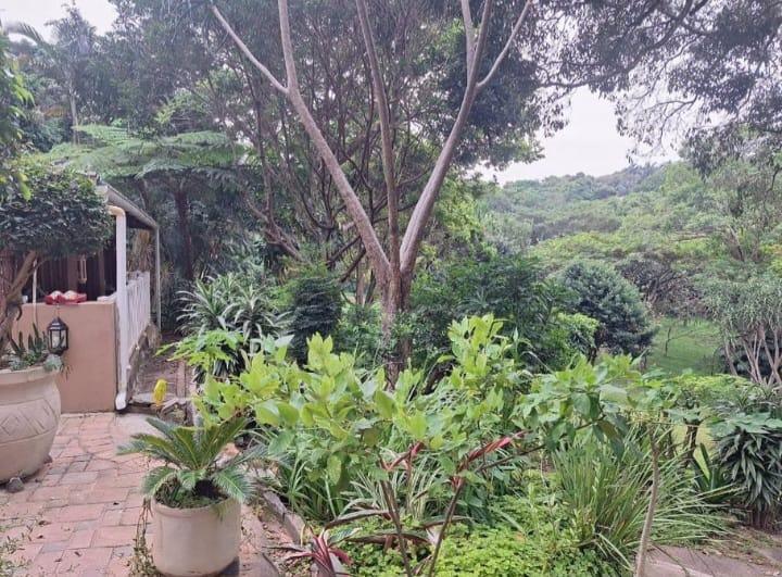 To Let 3 Bedroom Property for Rent in Umtentweni KwaZulu-Natal