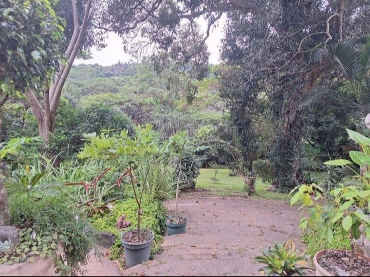 To Let 3 Bedroom Property for Rent in Umtentweni KwaZulu-Natal