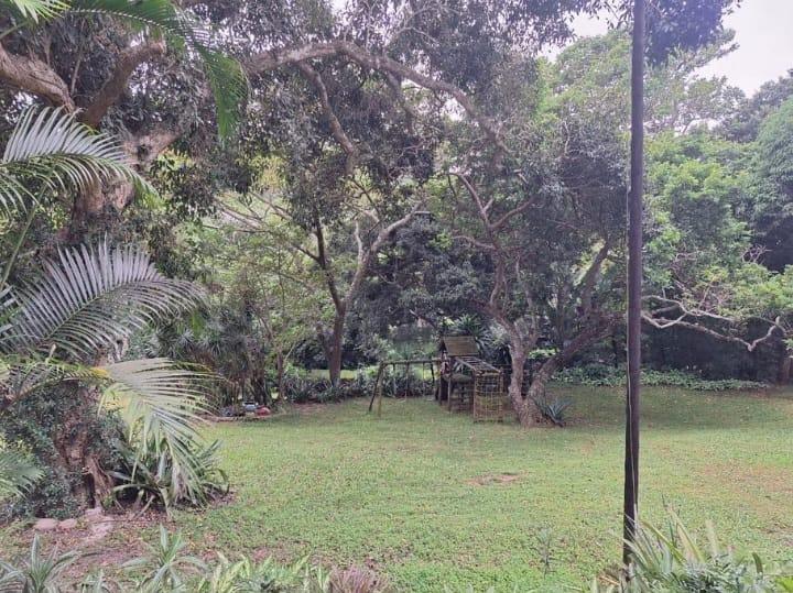 To Let 3 Bedroom Property for Rent in Umtentweni KwaZulu-Natal