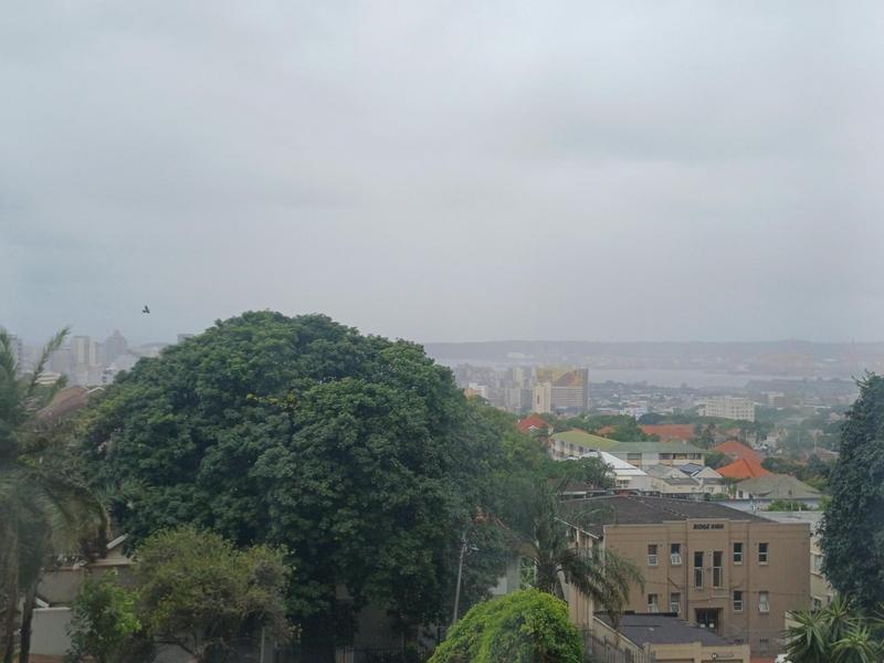 To Let 1 Bedroom Property for Rent in Musgrave KwaZulu-Natal