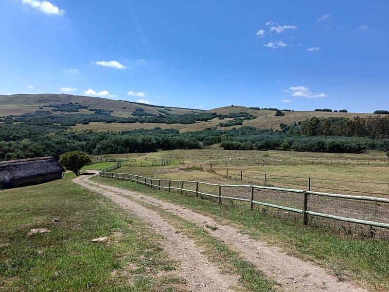 4 Bedroom Property for Sale in Mpofana KwaZulu-Natal