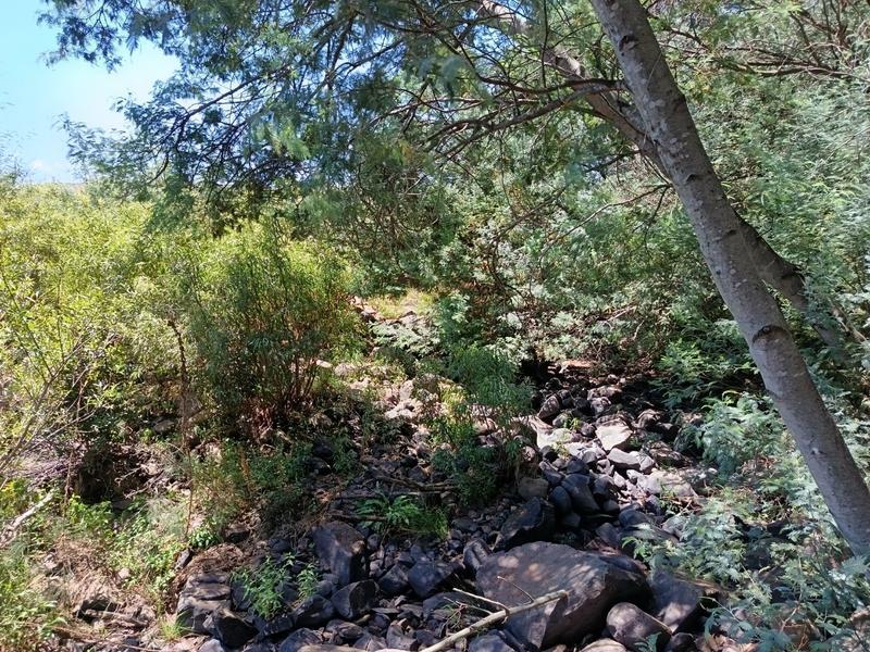 4 Bedroom Property for Sale in Mpofana KwaZulu-Natal