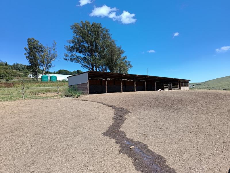 4 Bedroom Property for Sale in Mpofana KwaZulu-Natal