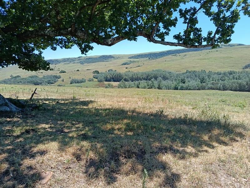 4 Bedroom Property for Sale in Mpofana KwaZulu-Natal