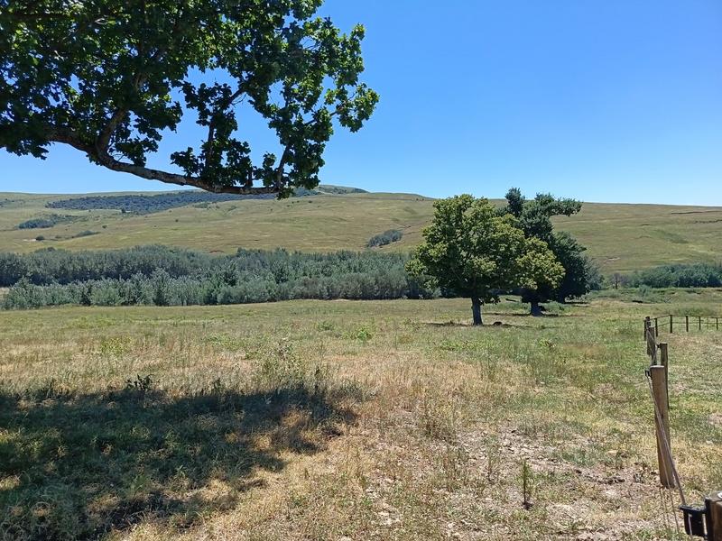 4 Bedroom Property for Sale in Mpofana KwaZulu-Natal