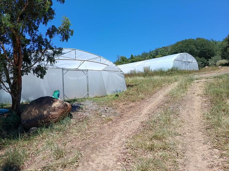 4 Bedroom Property for Sale in Mpofana KwaZulu-Natal