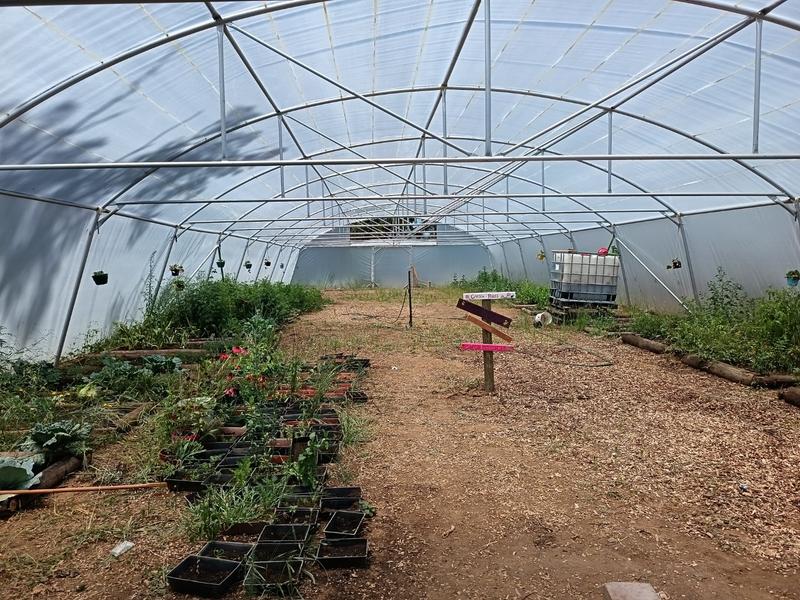 4 Bedroom Property for Sale in Mpofana KwaZulu-Natal