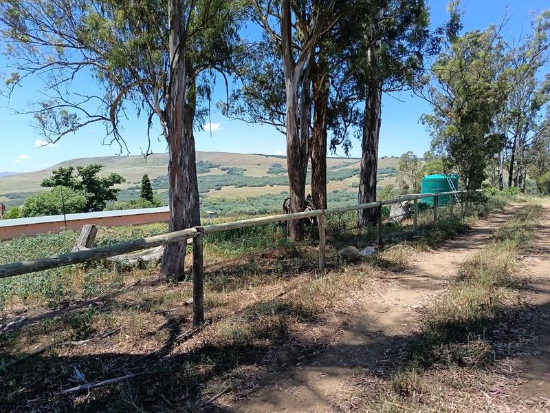 4 Bedroom Property for Sale in Mpofana KwaZulu-Natal