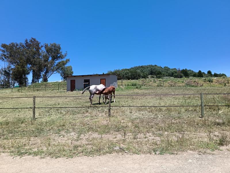 4 Bedroom Property for Sale in Mpofana KwaZulu-Natal