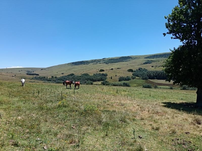 4 Bedroom Property for Sale in Mpofana KwaZulu-Natal