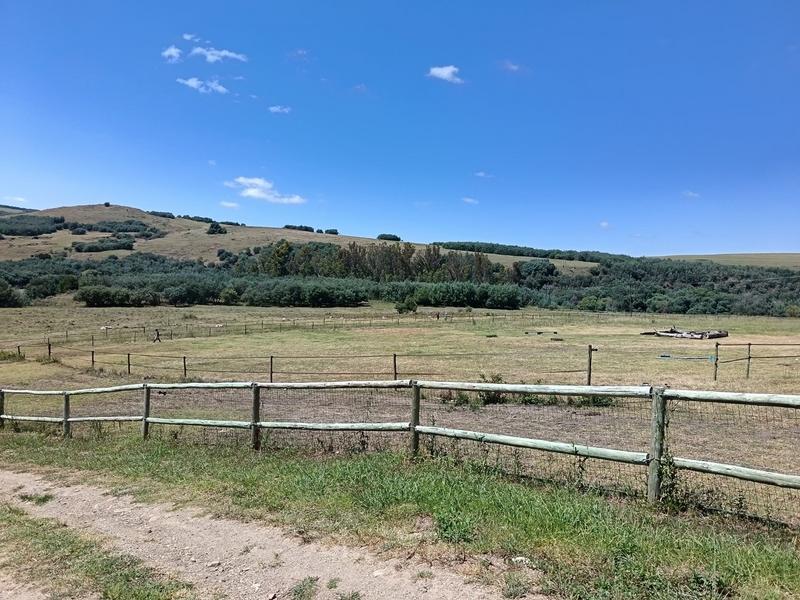 4 Bedroom Property for Sale in Mpofana KwaZulu-Natal