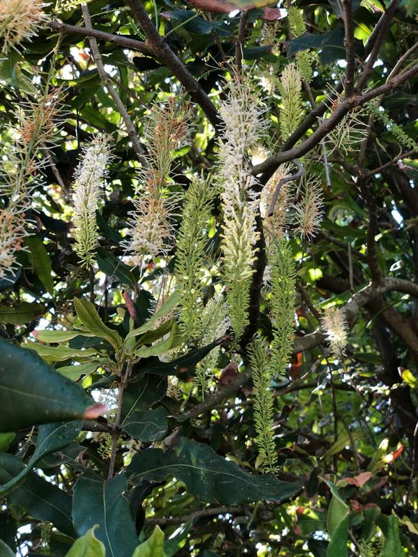 0 Bedroom Property for Sale in Marina Beach KwaZulu-Natal