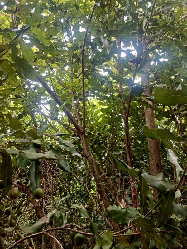 0 Bedroom Property for Sale in Marina Beach KwaZulu-Natal