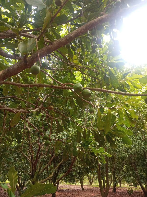 0 Bedroom Property for Sale in Marina Beach KwaZulu-Natal