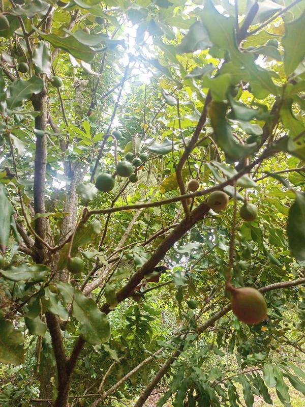 0 Bedroom Property for Sale in Marina Beach KwaZulu-Natal