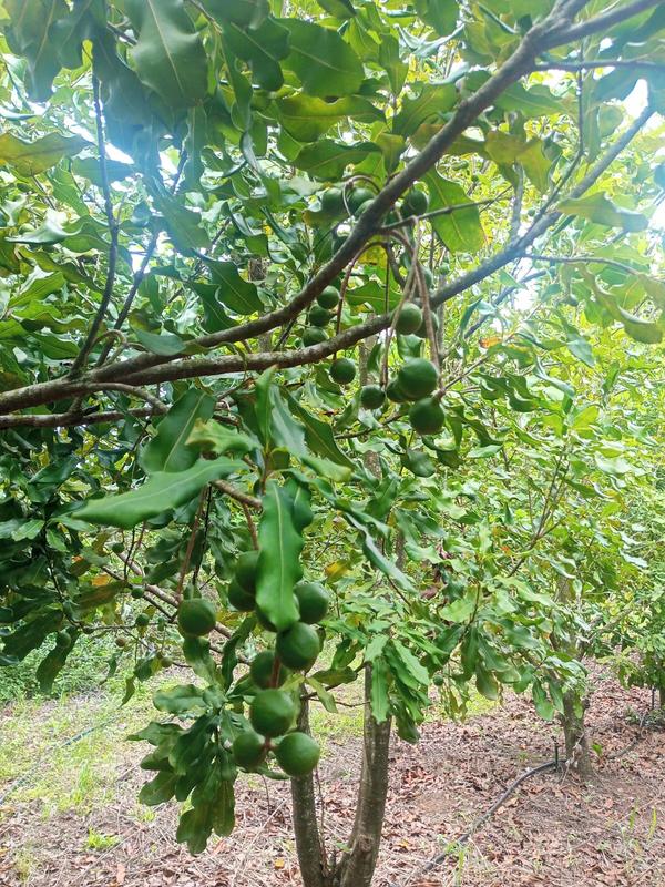 0 Bedroom Property for Sale in Marina Beach KwaZulu-Natal