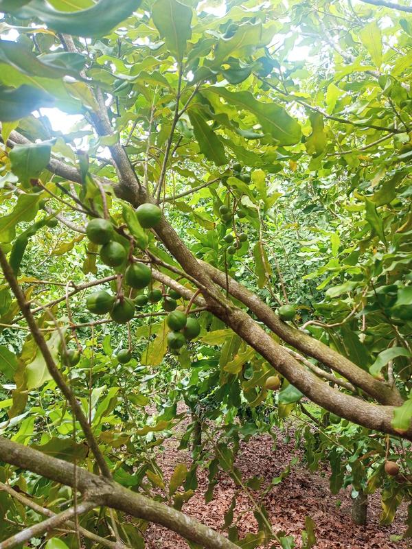 0 Bedroom Property for Sale in Marina Beach KwaZulu-Natal