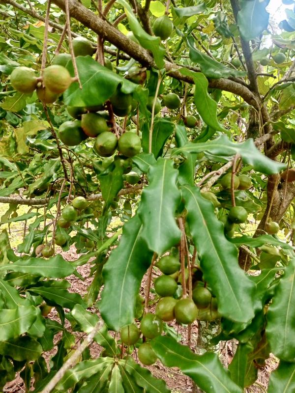 0 Bedroom Property for Sale in Marina Beach KwaZulu-Natal